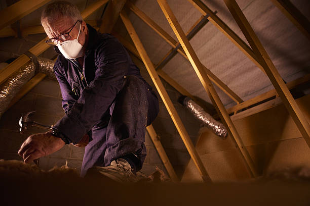 Types of Insulation We Offer in CO